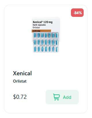 24/7 Customer Support